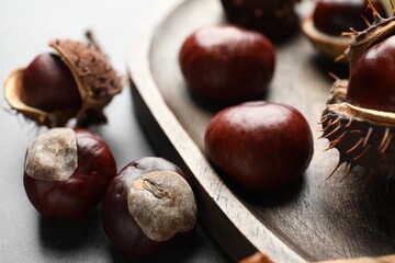 Horse chestnuts on wooden tray, closeup view