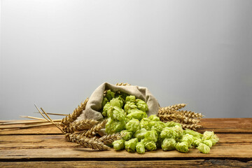 Overturned sack of hop flowers and wheat ears on wooden table against white background