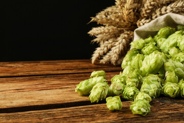 Overturned sack of hop flowers and wheat ears on wooden table against black background, space for...
