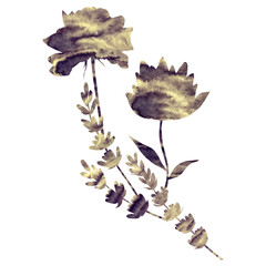 Decorative flowers. Watercolor illustration. Isolate on a transparent background.