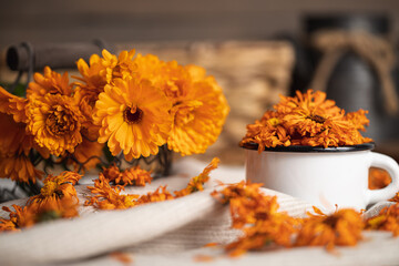 Dried and fresh calendula flowers in a white metal cup