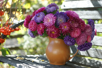 Colorful bouquet of china asters in a clay mug on a wooden bench in autumn garden.