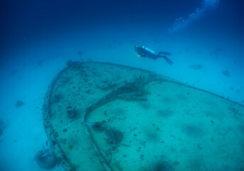 underwater scene , cooper ship wreck , scuba diver , caribbean sea , Bonaire