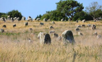 Menhirs near Carnac in Bretagne Brittany
