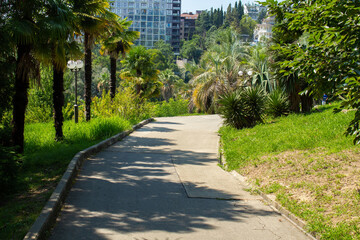 beautiful views of the summer park