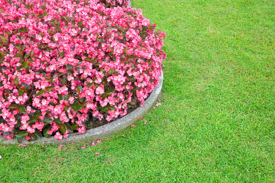 Circular flowerbed with flowers and green lawn