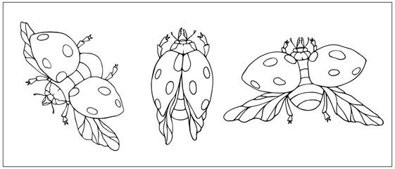 Set of linear sketches of flying ladybug insects.Vector graphics.