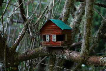 wooden bird house - 529254393