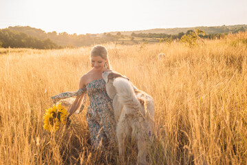 young blonde pregnant female playing with husky dog in the field during sunset in countryside