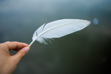 Close up woman hand holding white feather. Woman's hands with feather close-up