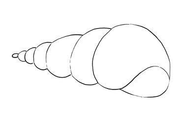 Seashell made of black outlines, single elements for beach wedding Illustration, clipart