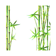 Fototapeta na wymiar Bamboo Leaf Png Format With Transparent Background