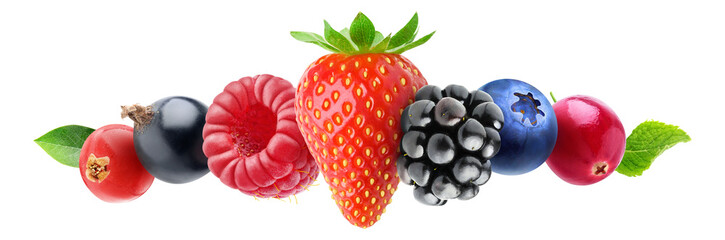 Design element with fresh berries (red and black currants, raspberry, strawberry, blackberry,...