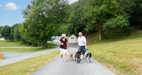 Happy smiling couple enjoy walking their dogs through Caravan park in rural Wales on a summers day as they enjoy their vacation with their pets .