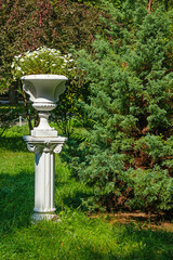 Antique vase with flowers on a white column in the garden. Summer sunny day and greenery
