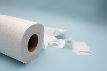Toilet paper roll with white background 