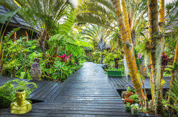 Fototapeta na wymiar Tropical garden of a hotel in St. Lucia, South Africa.