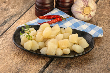 Raw scallop seafood in the bowl