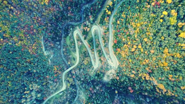 Amazing drone view of roadway in mountains covered with lush autumn foliage