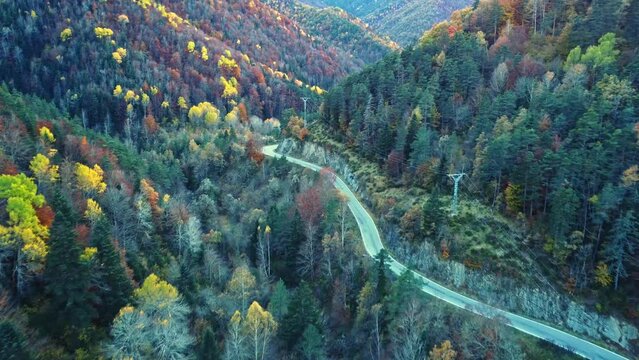 Amazing drone view of roadway in mountains covered with lush autumn foliage