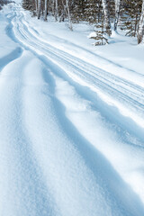 vertical photo of a winter landscape with a winter road through the forest