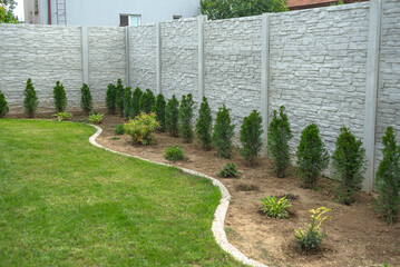Concrete pattern fence with  green thuja