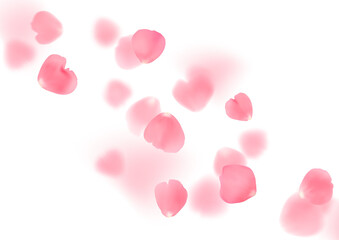 Illustration with realistic pink rose petals isolated on transparent background.
