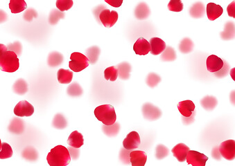 Illustration with realistic red rose petals isolated on transparent background.
