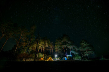 Camping in forest at night. garlands, light bulbs shine between trees and tents, people sitting opposite each other near illuminated tents under beautiful evening starry sky and Milky way