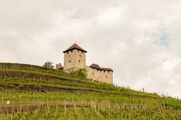 Fototapeta premium Gutenberg castle in Balzers in Liechtenstein