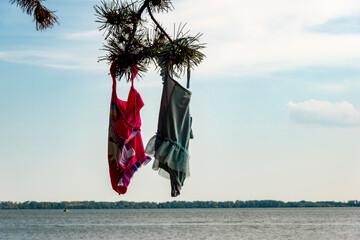 Children's swimwear hangs on a branch by the lake and dries in the sun