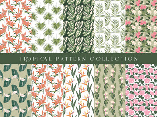 Tropical seamless pattern collection, Decorative wallpaper.
