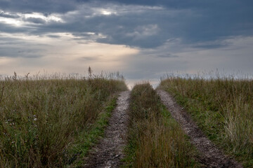 Fototapeta na wymiar Dirt road in the field. The track leads into the field to the clouds. Cloudy sky over a rural road in the morning. Heavy clouds over a country road on a summer day.