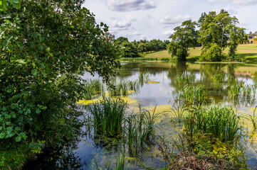 A view from the shore of the lake at Harlestone, Northampton, UK in summertime