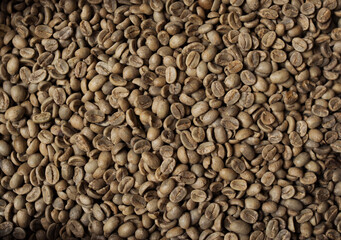 Close-up of raw coffee beans