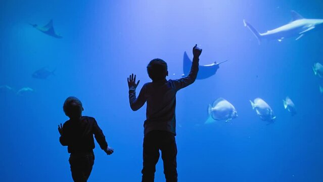 oceanarium, happy children watch with interest life of exotic fish sharks and rays swimming in blue water in large aquarium