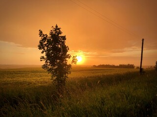 Sunset. Golden hour. Golden sunset over the field. High-quality photo