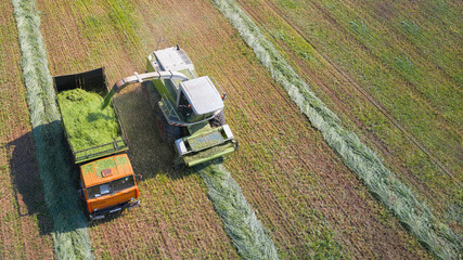 Aerial view of a silo harvester and a truck driving nearby. The harvester grinds the mowed rolls...