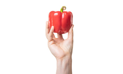 red sweet pepper vegetable in hand isolated on white background