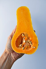 Half a butternut pumpkin on hand in a bright background