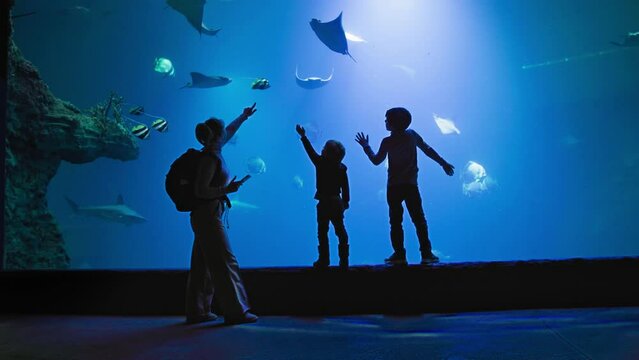 underwater world, loving female parent with sons watching life of exotic slave, shark and stingray in clear water in oceanarium