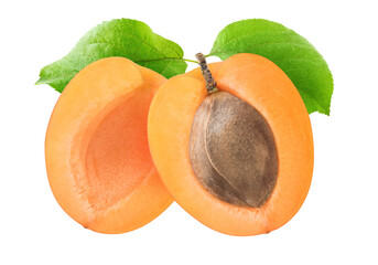 One apricot fruit cut in halves with kernel and leaf