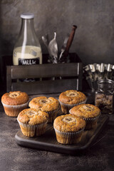 Banana muffins on grey background. Top view. Breakfast and healthy snack.