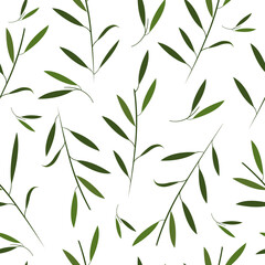 eucalyptus watercolor, eucalyptus, pattern