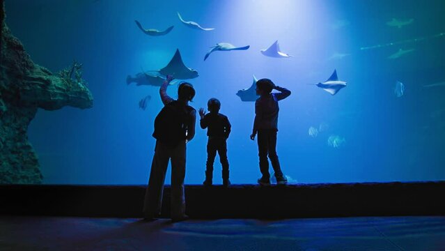 oceanarium, young woman tourist with male children is watching life of exotic fish, shark and stingray in blue clear water in aquarelle