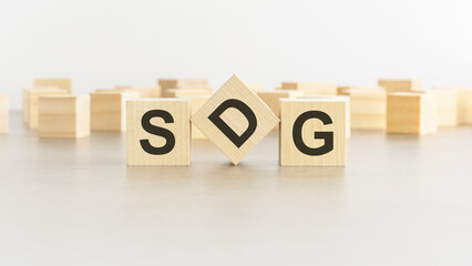 word SDG is made of wooden blocks on white background