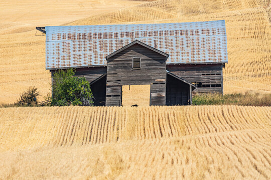 Old Barn  in the Palouse hills.