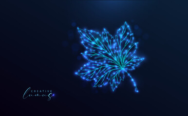 Starry autumn leaf on blue background. Leaves symbol, outline design with bright dots and stars. Neon blue style. Modern, futuristic, contemporary technology icon. 