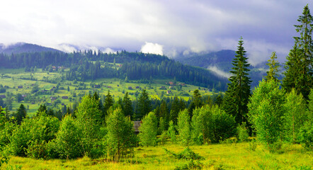 Picturesque mountain valley covered with forest