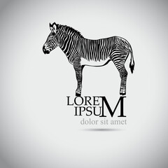 Logo zebra object. Vector illustration